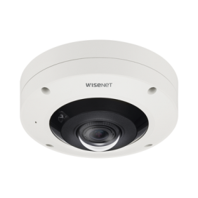 Fisheye IP 12 Megapixel / WDR 120dB / PTZ Digital 16X / Mapa de Calor y Conteo de Personas / IP66 / IK10 