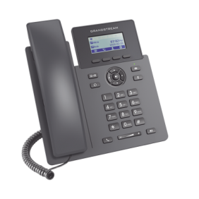 Teléfono IP Grado Operador, 2 líneas SIP con 2 cuentas, codec Opus, IPV4/IPV6 con gestión en la nube