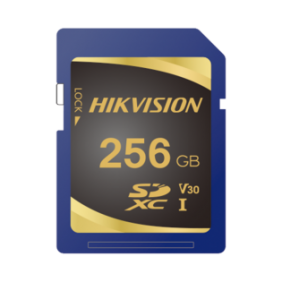 Memoria SD Clase 10 de 256 GB / Especializada Para